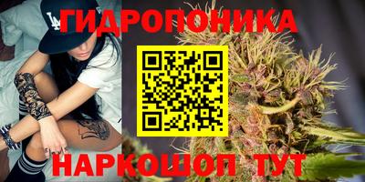 прущие крисы Сланцы