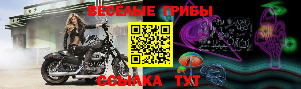 Галлюциногенные грибы ЛСД Протвино